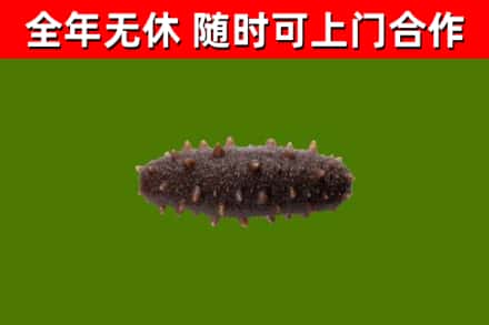 浈江区烟酒回收干海参.jpg